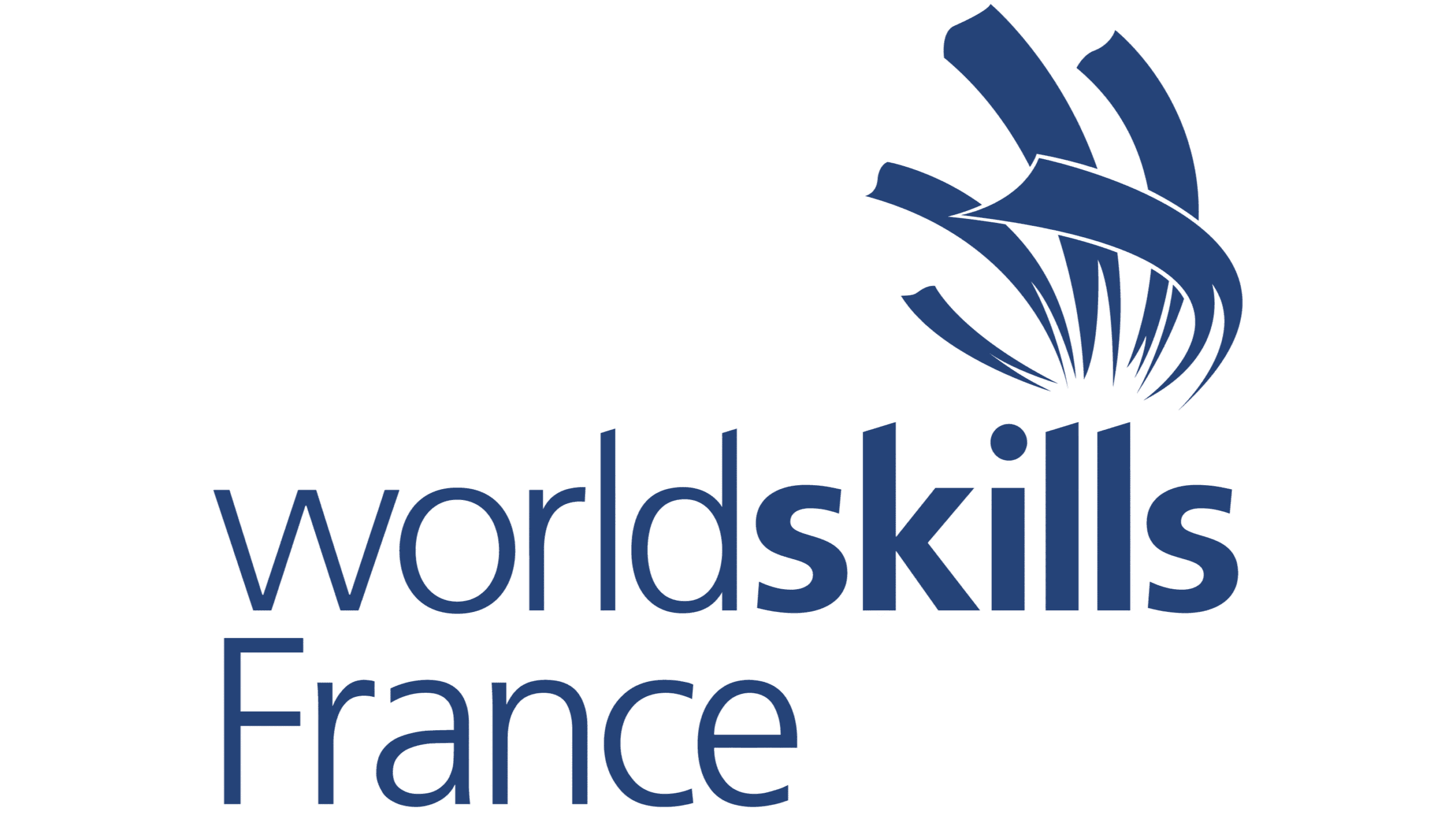 LOGO_WSFR_bleu - Modifié - Modifié